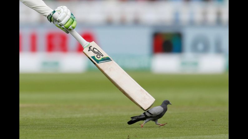 Keaton Jennings tries to distract a pigeon during a cricket match in Birmingham, Britain on Wednesday, August 1. 