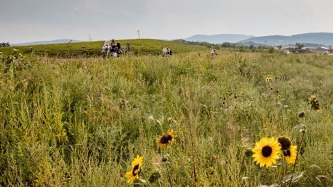 People ride from all over the country to get to Sturgis, on the edge of the Black Hills National Forest, each year.