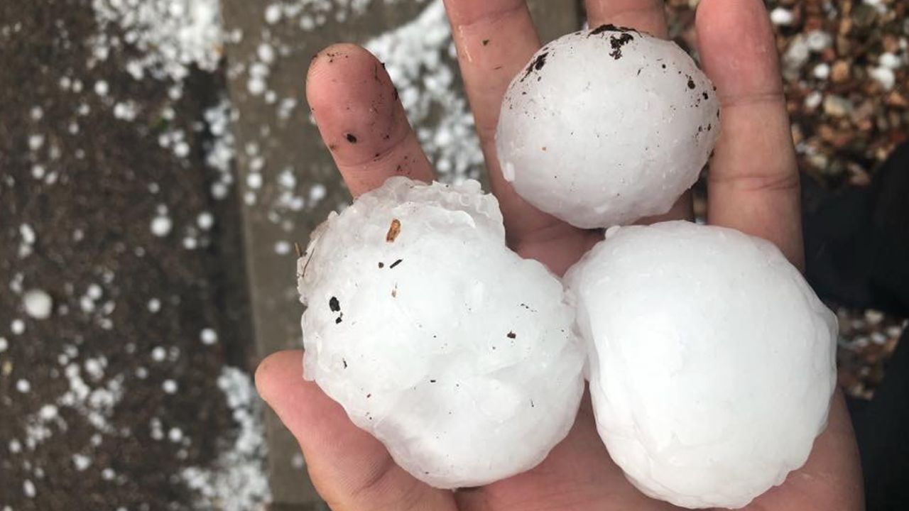 Violent hailstorm ravages Colorado zoo