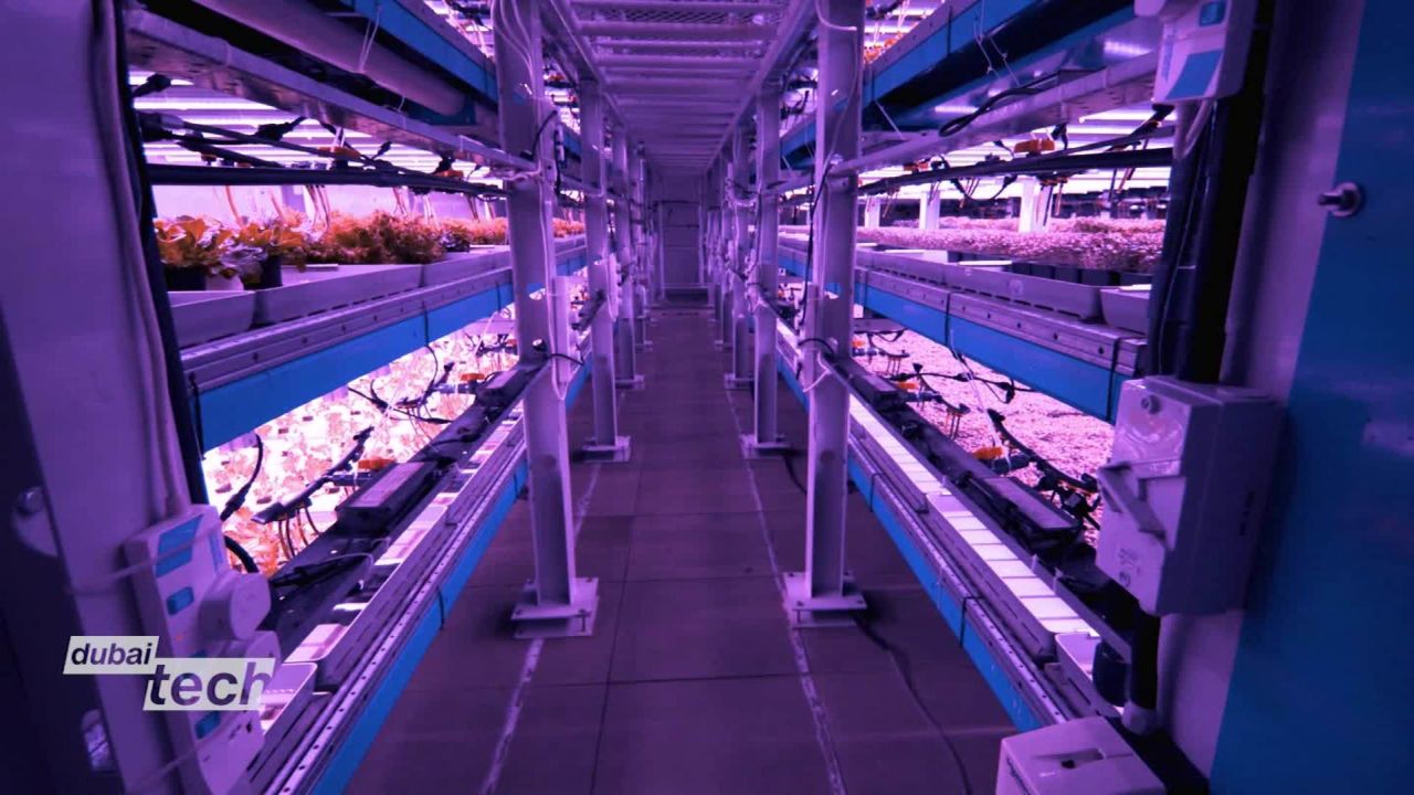 global gateway dubai tech vertical farm_00015713.jpg