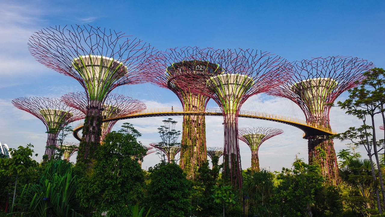 Gardens by the Bay is one of Singapore's many green intiatives. The 'supertrees' act as vertical gardens, featuring tropical flowers and solar panels.