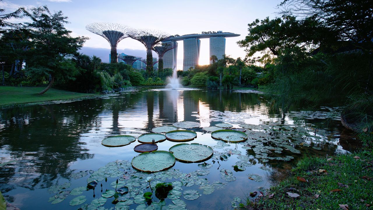 <strong>Gardens by the Bay: </strong>The group of 25- to 50-meter-tall tree-like structures covered by exotic ferns and orchids can collect rainwater to irrigate the gardens, vent hot air, cool circulated water and harness solar energy through photovoltaic cells.