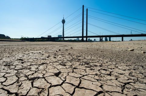 A look at the dried-up riverbed of the Rhine in Dusseldorf, Germany.