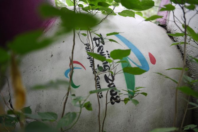 <strong>Left behind</strong>: Fu Niu Lele, the mascot for the 2008 Beijing Paralympic Games, also lies amongst trees behind the disused mall.