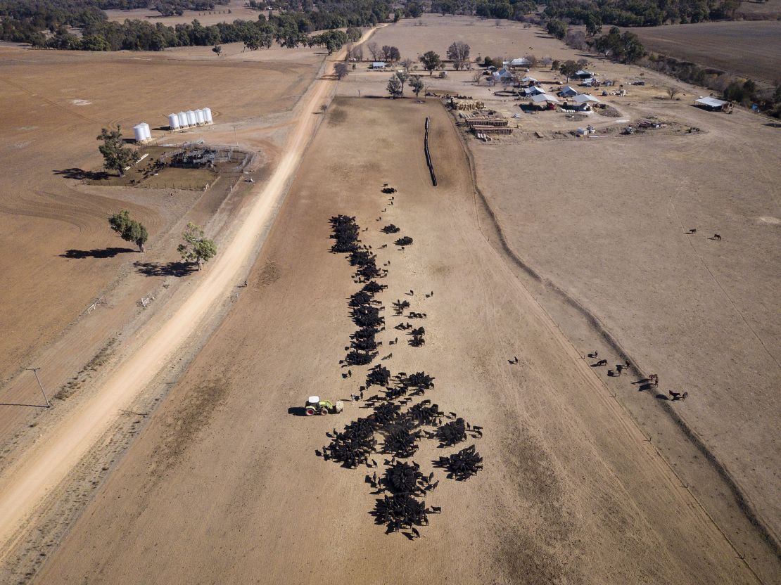 An aerial view of a drought-stricken farm's cattle feeding operation in New South Wales. 