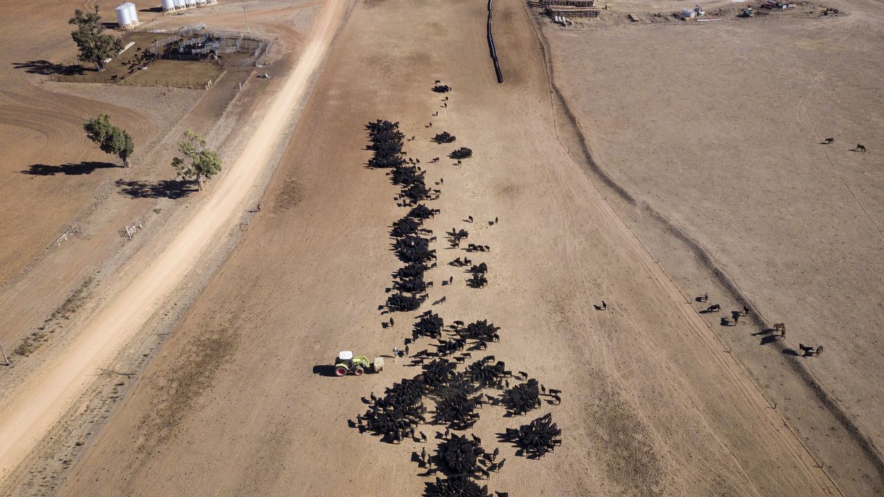 Parts of Australia suffered severe drought amid an unusually hot and dry winter this year.
