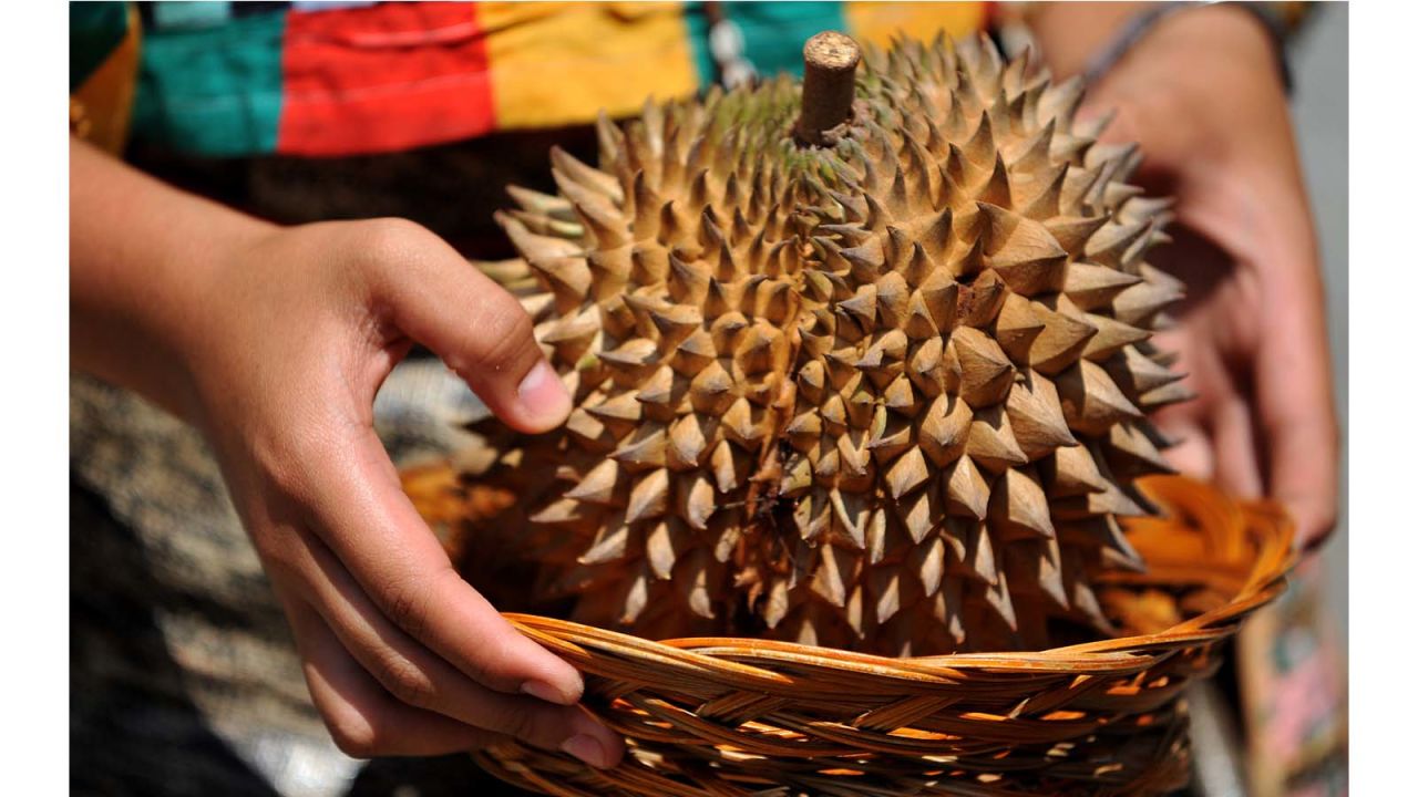 <strong>Tried and tested</strong>: "There are durian that (taste) like coffee, milk chocolate, white chocolate, coconut cream, whisky, wine... " says Gasik. Some even taste like banana rum.