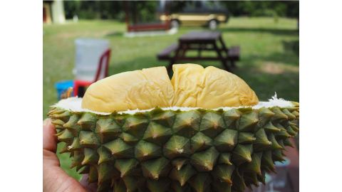 <strong>Durian hunter:</strong> Best known for their pungent aroma and starchy, custard-like texture, durians aren't for everyone. 