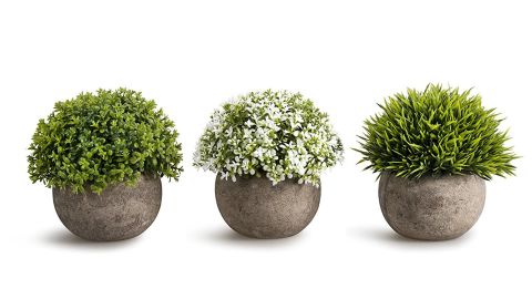<strong>OPPS Plastic Mini Plants -- Set of 3 (starting at $21.99; </strong><a href="https://amzn.to/2OqduTk" target="_blank" target="_blank"><strong>amazon.com</strong></a><strong>)</strong>