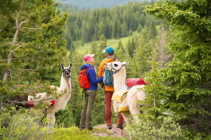 <strong>Vail, Colorado: </strong>Known for its sprawling terrain, the popular Colorado ski town of Vail has plenty to entice visitors in the off-season as well. A llama hike is one such  offering. <a href="index.php?page=&url=http%3A%2F%2Fwww.cnn.com%2Ftravel%2Fdestinations%2Fcolorado">Read more about travel in Colorado.</a>