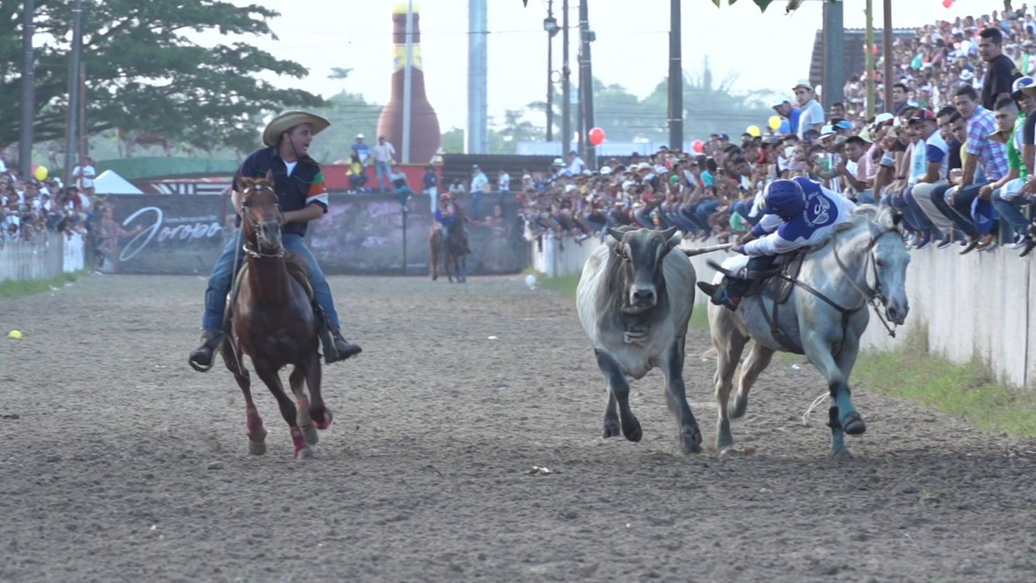 colombia rodeo