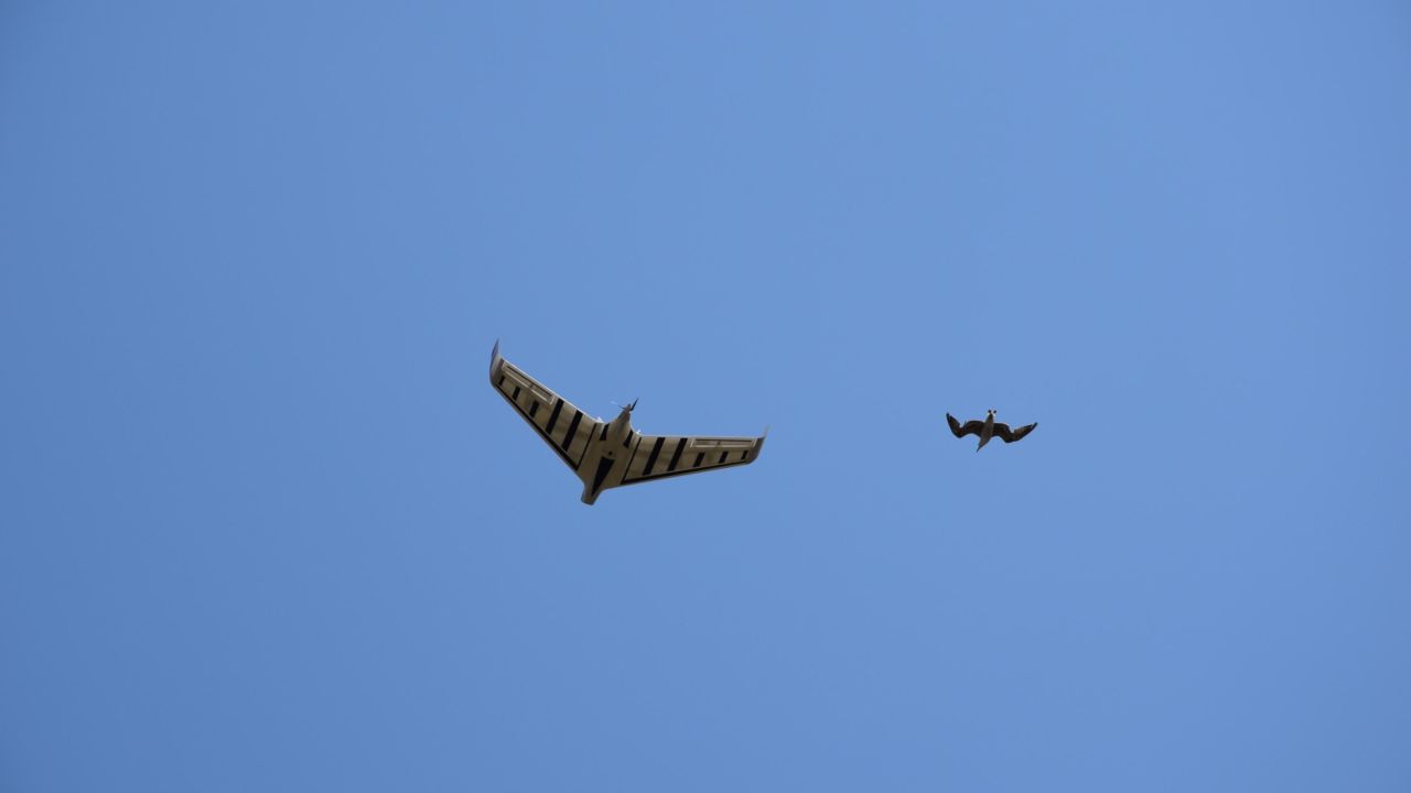 Is it a bird? Is it a plane? No, it's a drone powered by artificial intelligence.