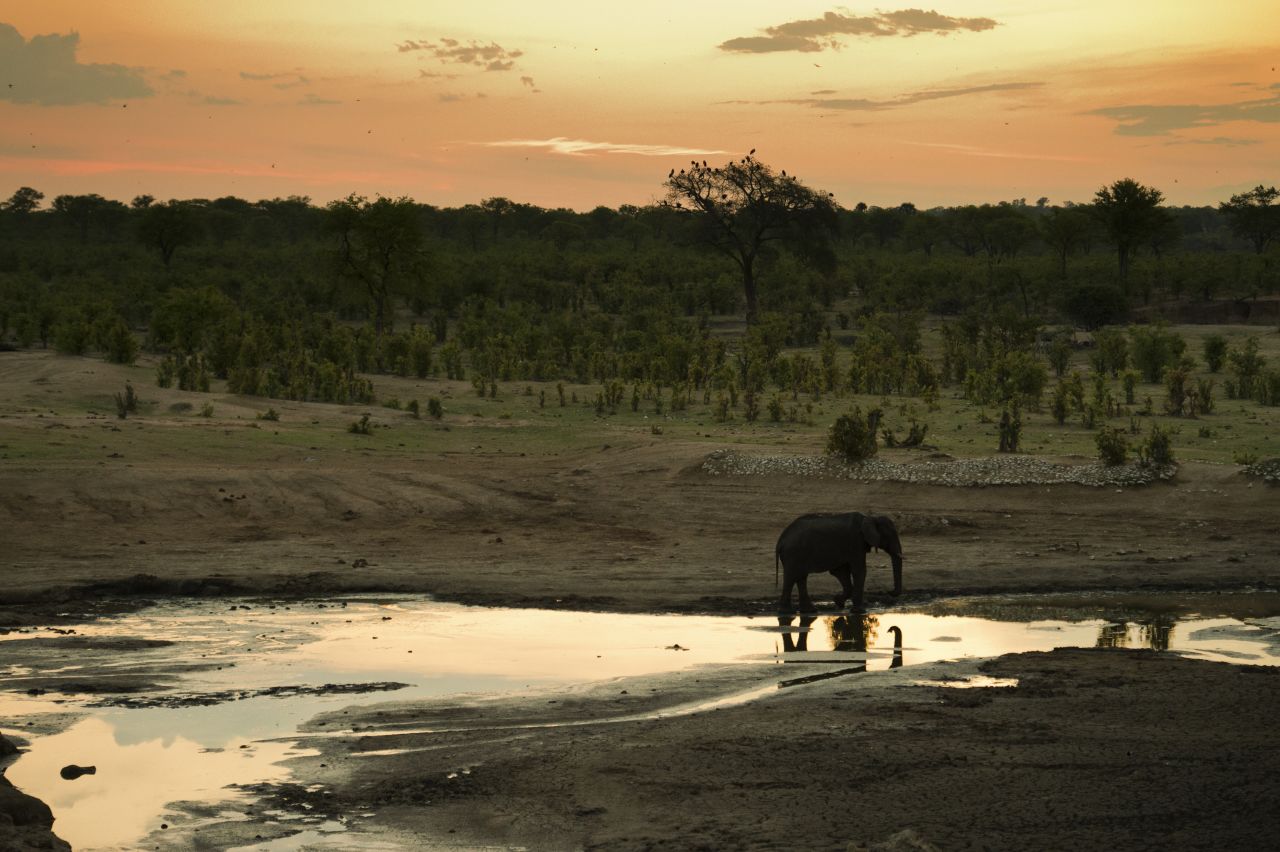 In pockets of Southern Africa, <a href="https://airshepherd.org/" target="_blank" target="_blank">Air Shepherd</a> flies drones at night to track wildlife poachers.