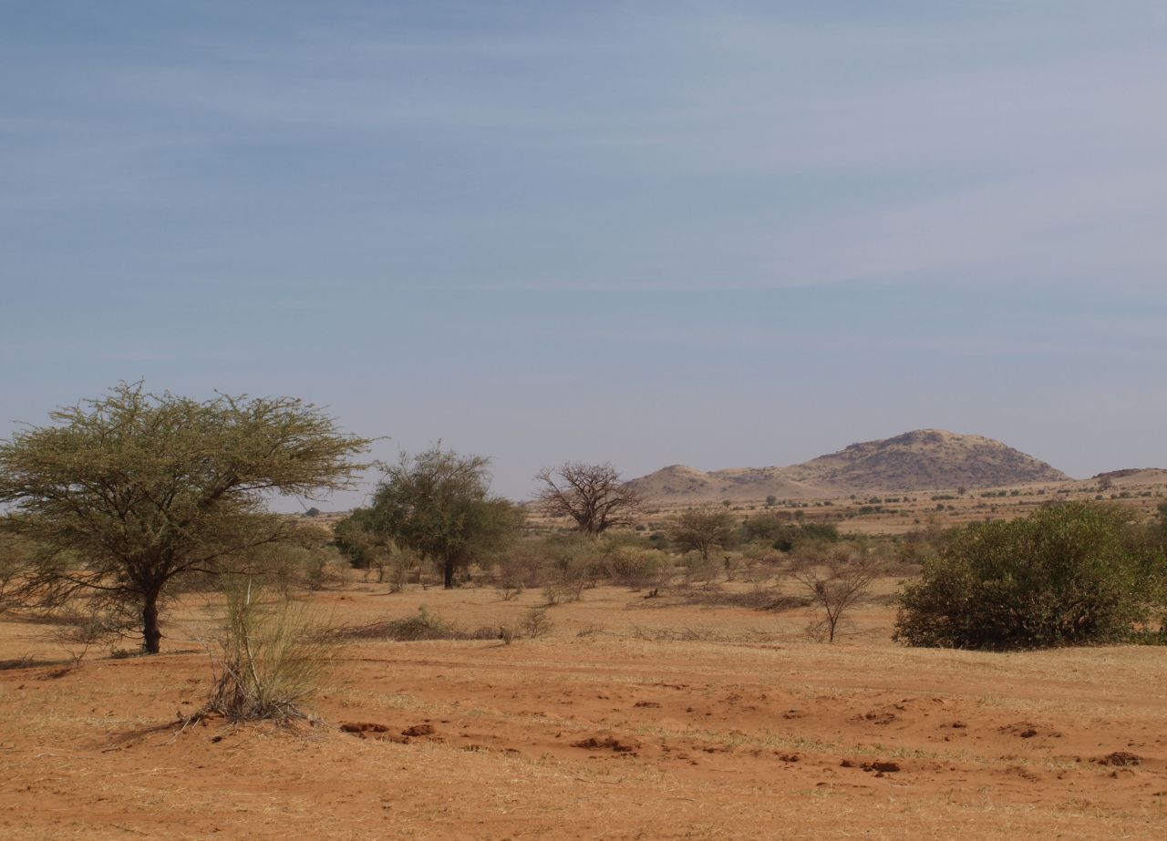 Sudanese agricultural drone startup Massive Dynamics aims to use drones to <a href="https://www.aljazeera.com/indepth/features/africa-drone-revolution-180123090528801.html" target="_blank" target="_blank">plant seeds of Acacia trees</a> from the sky to combat desertification.