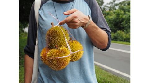 <strong>Durian diaries:</strong> Based in Penang, Malaysia, she also leads durian tours and has penned two guide books, including recently published "The Durian Tourist's Guide to Penang". 