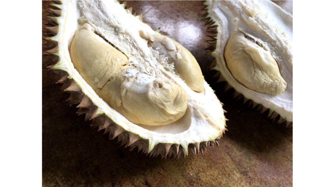 A "White Horse" durian at Nature Fruit Farm Resort in Balik Pulau, Malaysia.