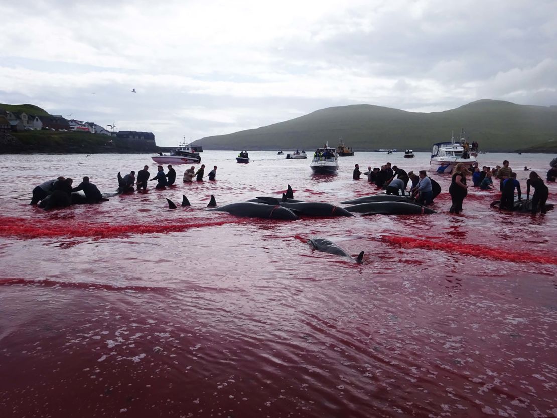 People participate in the whaling event on July 30.