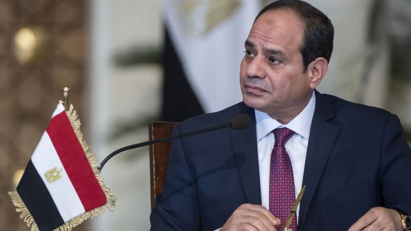 Egypt official rejects leaked intelligence suggesting nation's military was producing weapons for Russia