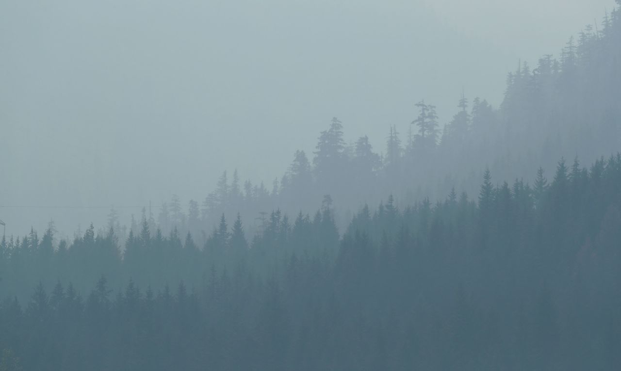 Layered tree lines are seen through smoke-filled air at Washington's Snoqualmie Pass on Wednesday, August 15.