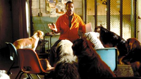 <strong>"Dr. Dolittle 2"</strong>:  Eddie Murphy returns to the role of a doctor who can talk to animals. This time around, he's trying to save their home from developers. <strong>(Hulu) </strong>