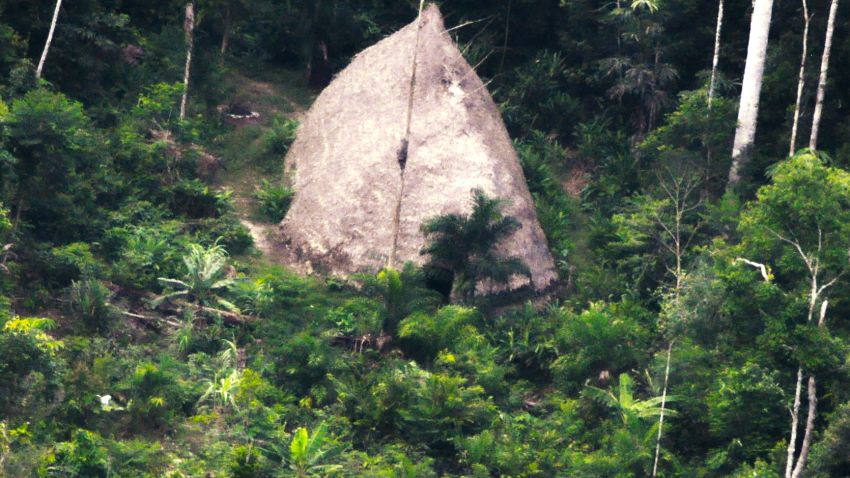 A thatched dwelling in the deep Amazon belonging to an uncontacted tribe, seen from a drone.