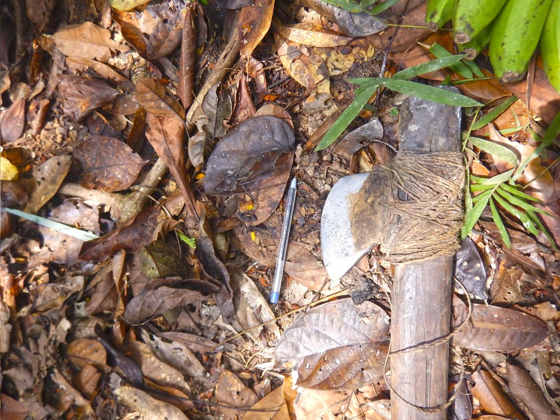 An ax discovered by researchers from Brazil's National Indian Foundation during a recent survey of uncontacted tribes in the Amazon. The pen is used for scale. 