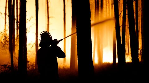 A firefighter in action during the forest fire on Thursday.