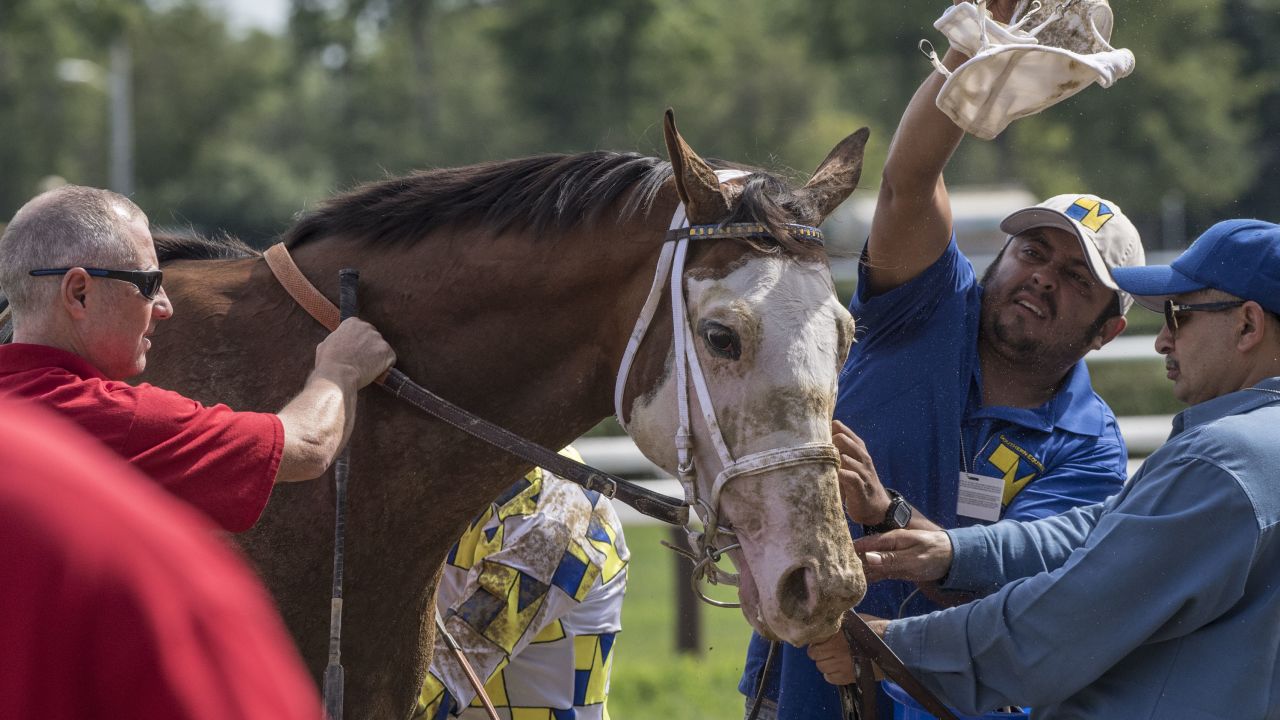 Southern Phantom who has been garnering a lot of media because of his unusual coloring for a thoroughbred ran in the 6th race on the card but was off the board.
