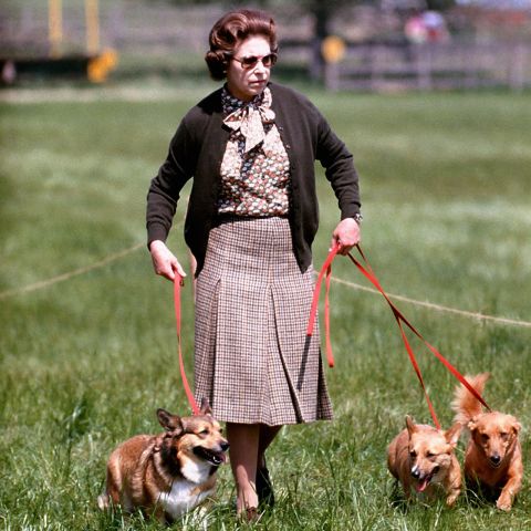 Elizabeth walks with some of her corgis at the Windsor Horse Trials in May 1980.