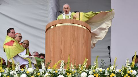 Pope Francis leads Mass at Phoenix Park in Dublin.