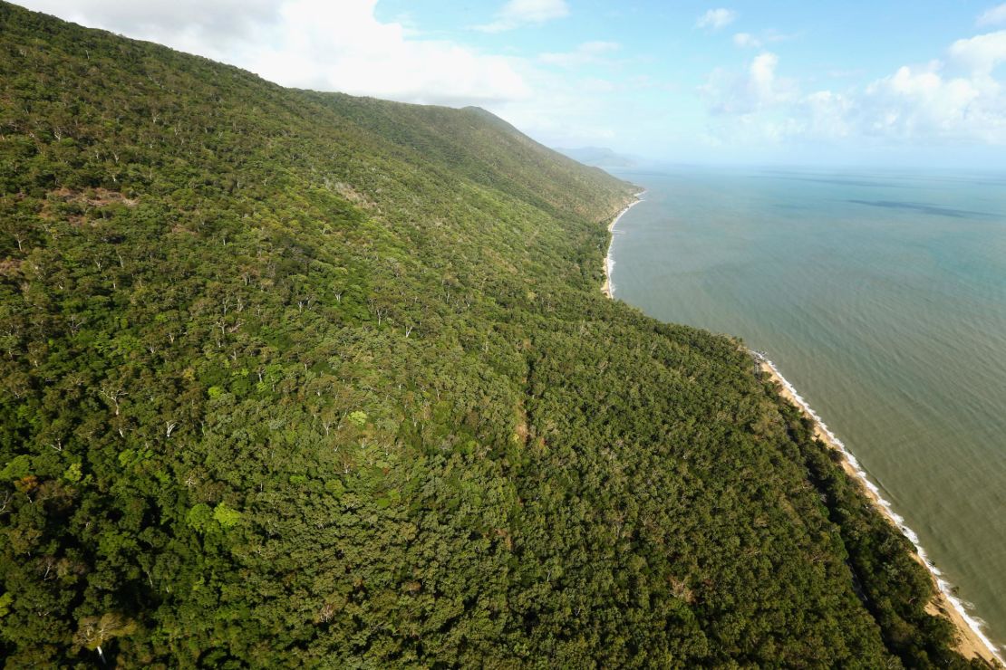 The suspected asylum seekers are believed to have come ashore in heavily wooded north Queensland.