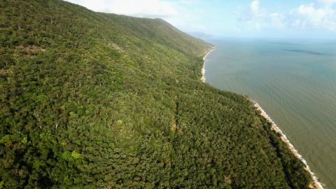 The suspected asylum seekers are believed to have come ashore in heavily wooded north Queensland.  