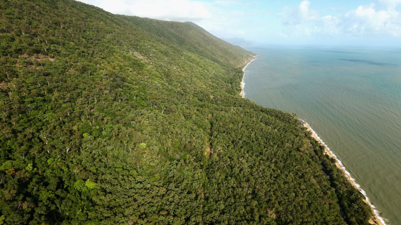The suspected asylum seekers are believed to have come ashore in heavily wooded north Queensland.  