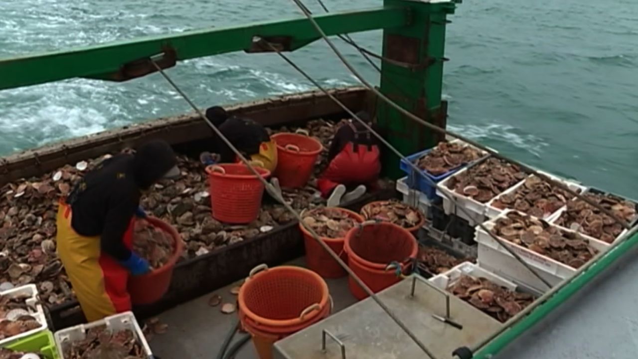 A boat fishing on the English Channel, near Ouistreham, France, where clashes took place.