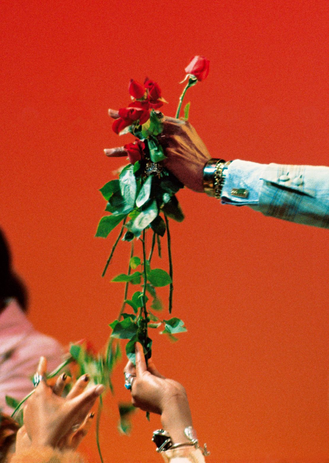 Roses for the ladies. Al Green's personal touch during live performances only added to his sensual persona. "Soul Train" Los Angeles, 1974.