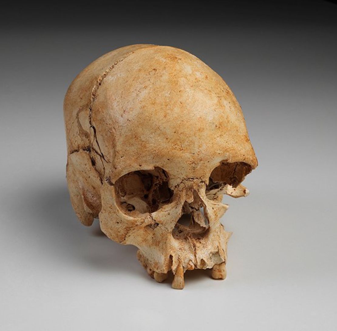 The skull of "Luzia" was believed to be more than 11,000 years old.