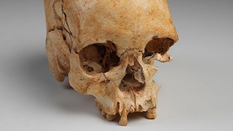 The skull of "Luzia" was believed to be more than 11,000 years old.