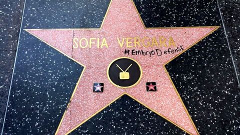 sofia vergara hollywood star vandalized RESTRICTED