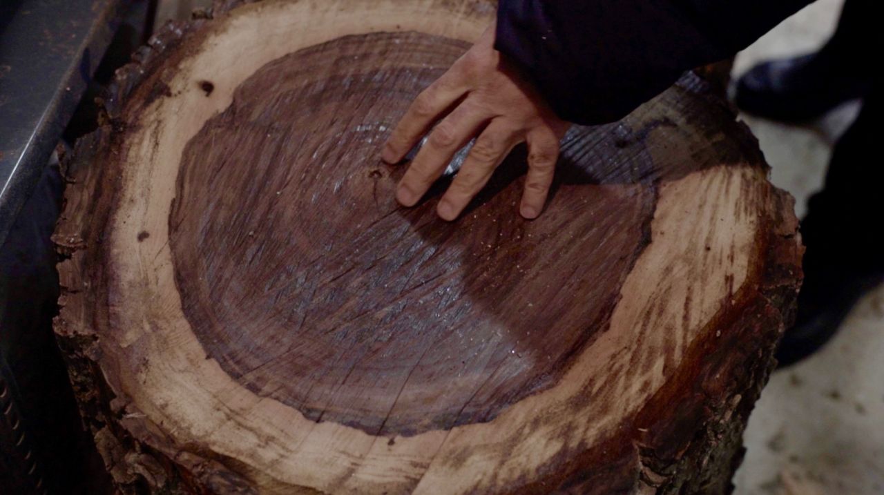 This huge walnut log, harvested from mature forests in the west of Iran, will be used to make a tonbak drum. First it must be dried out for up to eight months.