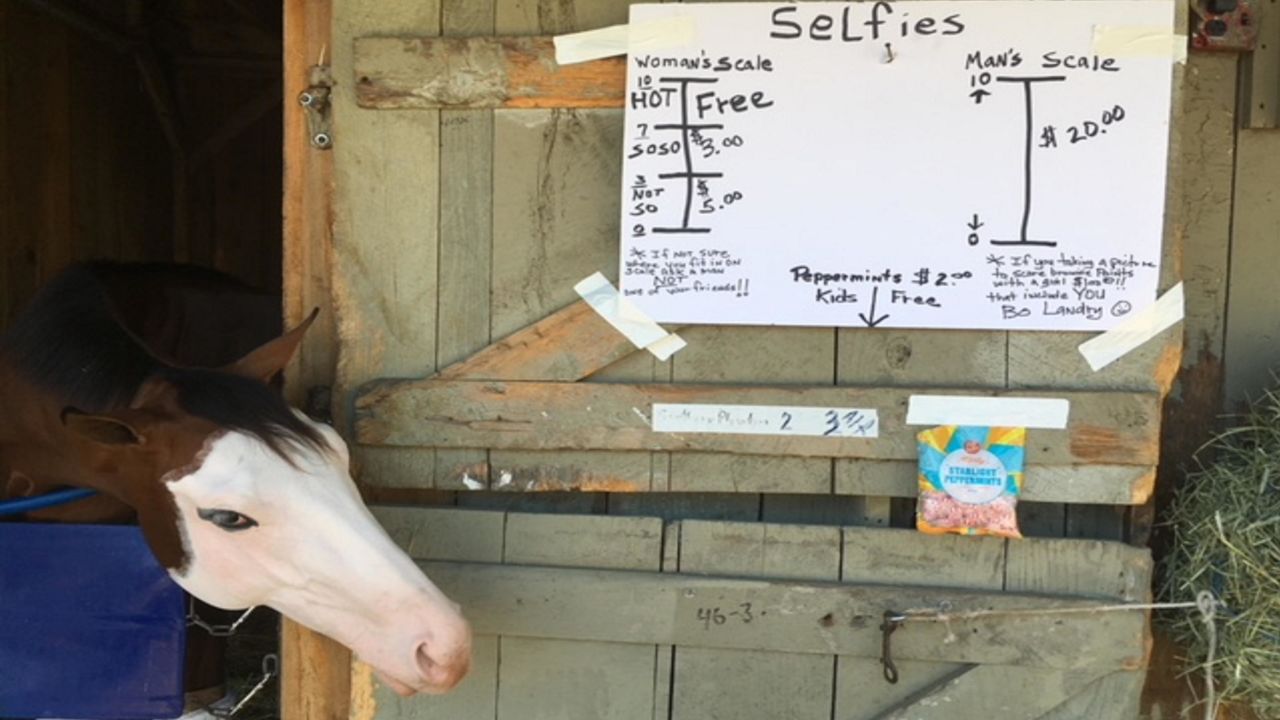 "I was just teasing," Guillot laughs as talks about charging people for selfies with Southern Phantom. "That's probably the most money I'd ever make if I charged $5 for a selfie!"