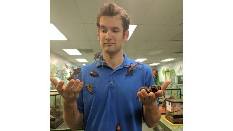 Owner John Cambridge with some of the Insectarium's live specimens.