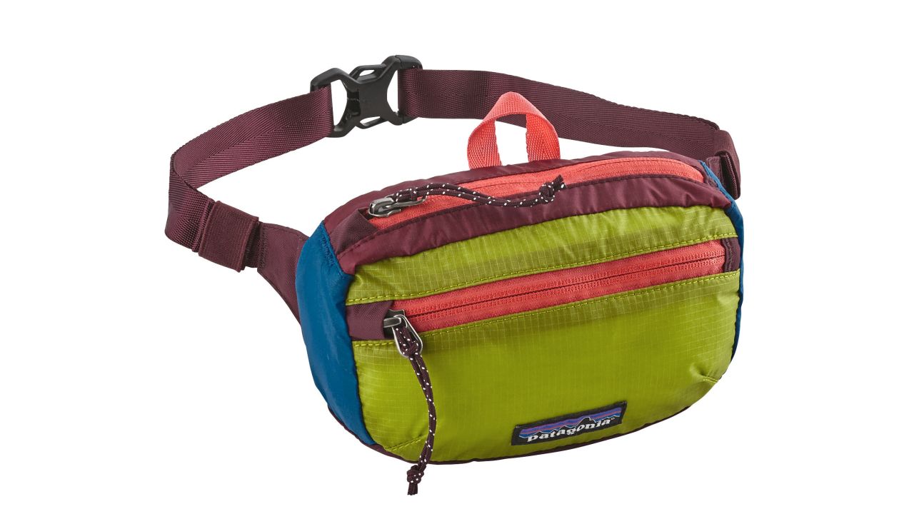 <strong>Patagonia:</strong> The <a href="https://www.patagonia.com/product/lightweight-travel-mini-hip-pack-1-liter/49446.html?utm_source=google&utm_medium=cpc&utm_content=dynamic%20search%20ad&utm_campaign=Non%20Brand%20-%20Dynamic%20Search%20-%20Backpacks&gclid=CjwKCAjwrNjcBRA3EiwAIIOvqwtUMkNK2KXXNwUJeUolEv_zON928IGtRloPho6tiHu_Kx3IEjMX-hoCUtMQAvD_BwE" target="_blank" target="_blank">lightweight mini hip pack</a> from Patagonia runs $29 and stuffs into its own pocket for packing ease.