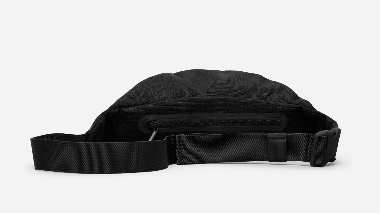 <strong>Everlane</strong>: <a href="https://www.everlane.com/products/womens-street-nylon-fanny-pack-darkgreycrosshatch?collection=womens-backpacks-bags" target="_blank" target="_blank">Everlane's street nylon fanny pack</a> comes in dark grey and black and costs $25.