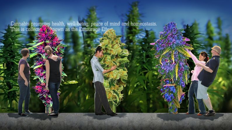 <strong>Grow room: </strong>Inside the museum, there's a "grow room" (seen here in a rendering), with 7-foot-tall buds you can hug. 