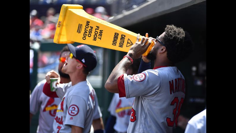 St. Louis Cardinals first baseman Jose Martinez yells from the dugout during the first inning against the Washington Nationals  on Monday, September 3, in Washington.