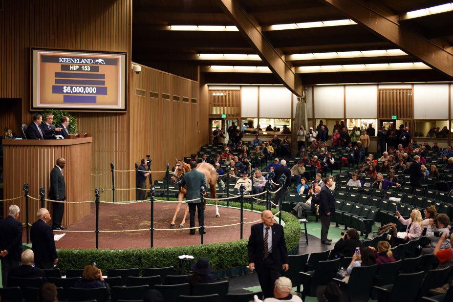When it comes to purchasing a horse, Elliston says some buyers wait until the very last moment -- the horse's final test is whether it can stay calm amidst the bidding excitement. "It's indicative of how a horse may behave on a big race day," he says.