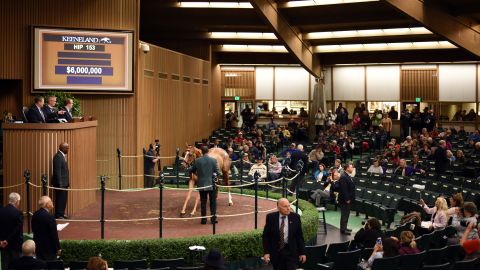 More than $300M is expected to be turned over at Keeneland during the 13-day yearling sale.