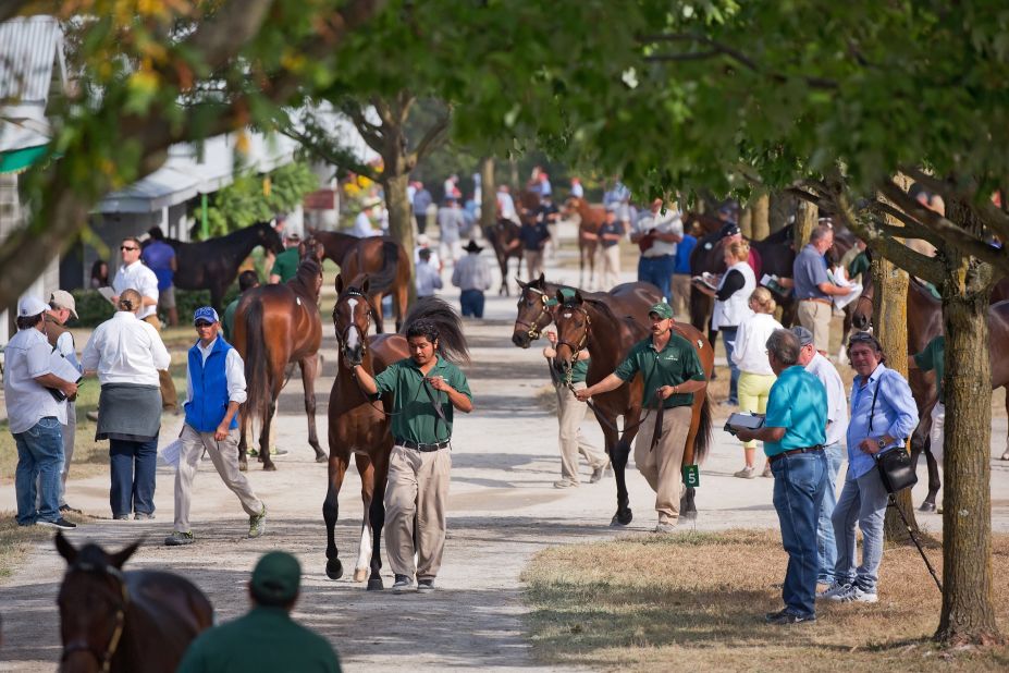 At Keeneland's 2018 September Yearling Sale, more than 4,500 thoroughbreds will go under the hammer. For 13 days, hundreds of people visit its grounds inspecting each horse. "They're looking at how they walk, they look at their coat and how shiny it is, they look at their muscular confirmation," Bob Elliston, Keeneland's vice president of racing and sales, tells CNN Sport.