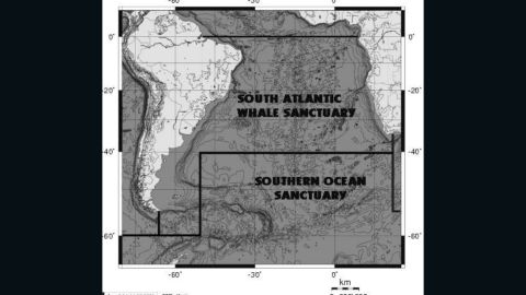 Limits of the proposed South Atlantic Whale Sanctuary.