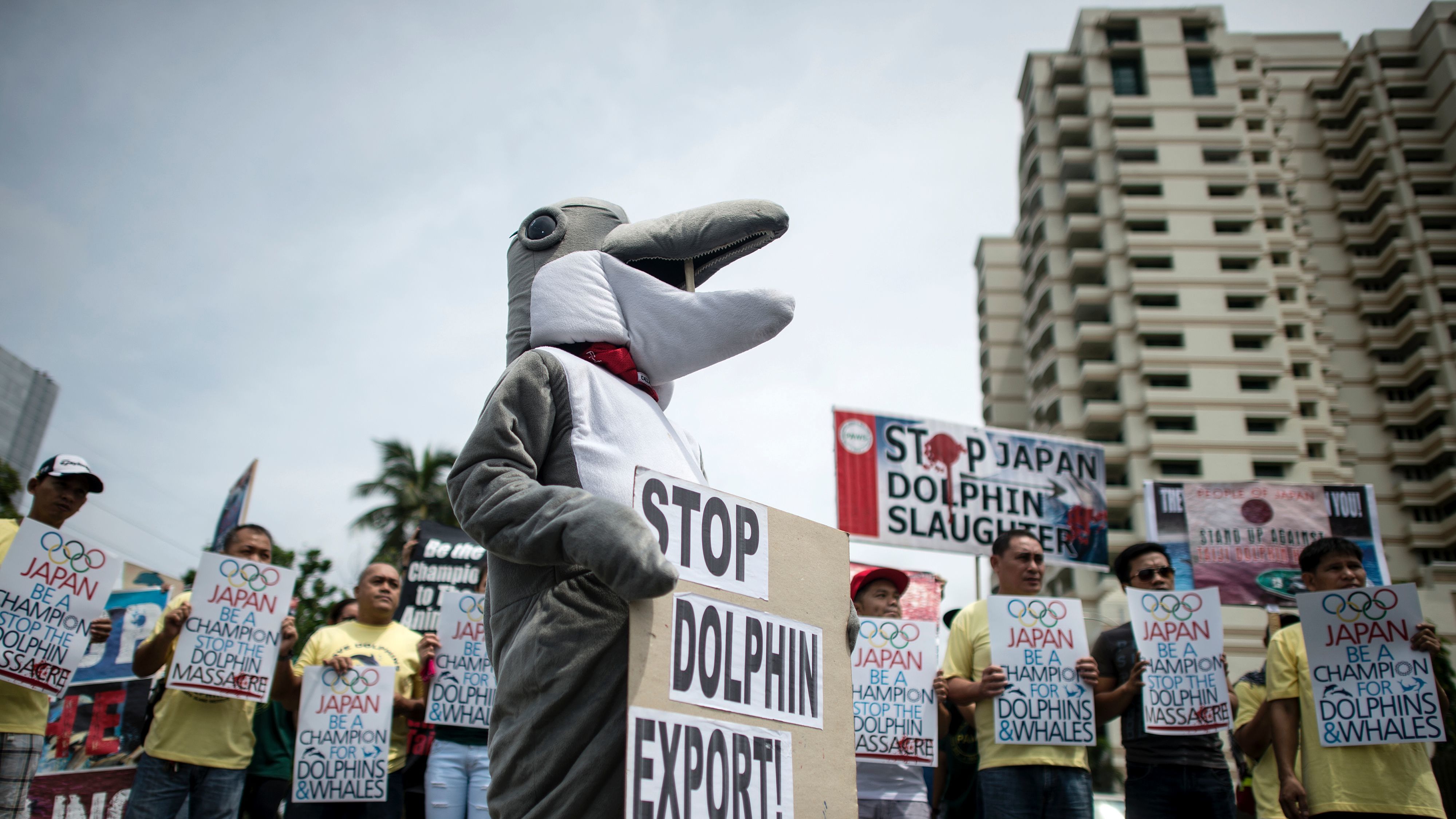 Activists hold a demonstration in front of the Japanese Embassy in Manila in 2016 to protest the start of the dolphin hunting season in Japan. 